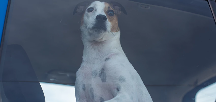 Car Lockout Solutions in San Leandro, California